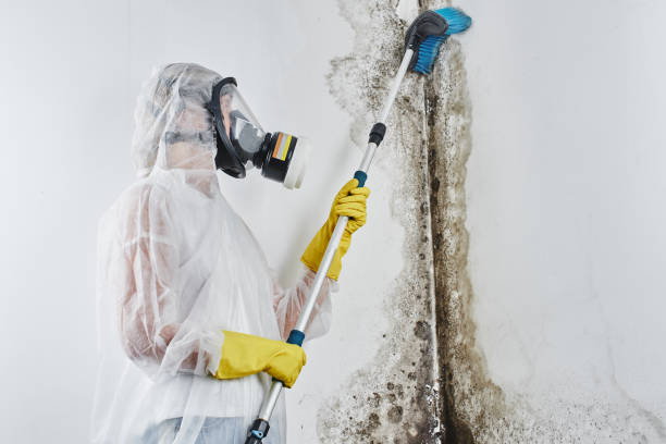 Water damage restoration process in Brookings, SD